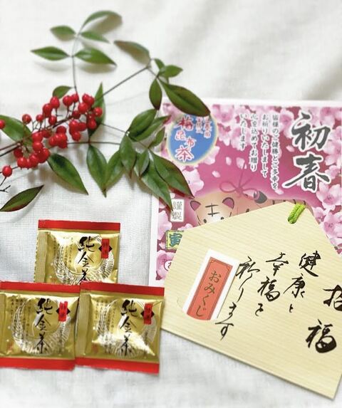 干支 金粉茶